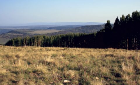 Ranch / Farm $275,000