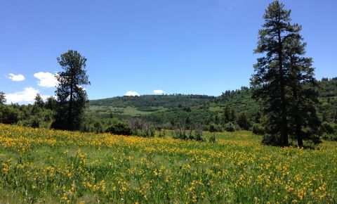 Ranch / Farm $299,000