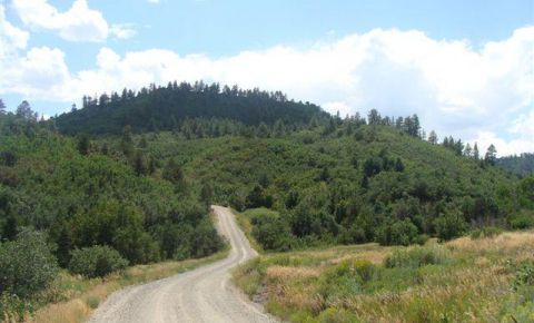 Ranch / Farm $770,000