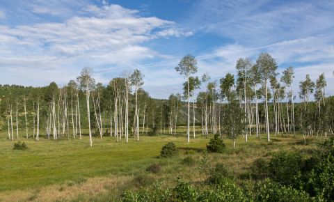 Ranch / Farm $499,000