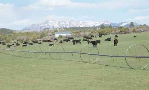 Ranch / Farm $250,000