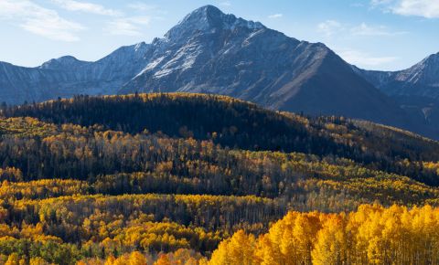 Ranch / Farm $1,200,000