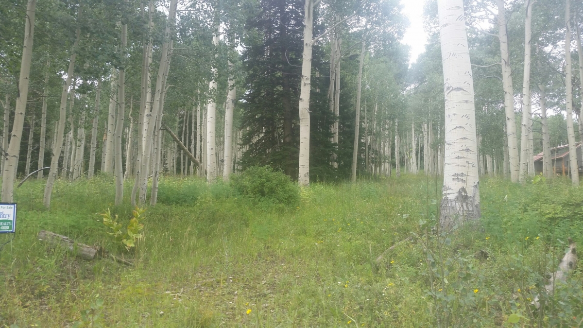 AspenLot1